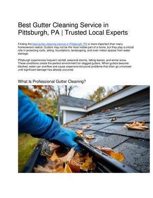 Best Gutter Cleaning Service In Pittsburgh