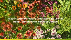Texas Summer Flowers That Thrive In Full Sun: Heat-Tolerant Picks For Your Garden