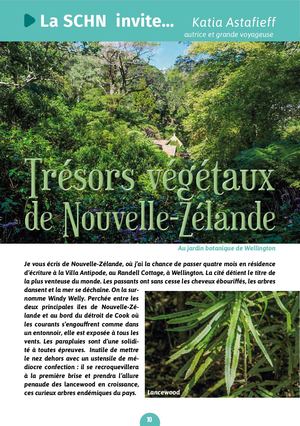 Les trésors végétaux de la Nouvelle  Zélande