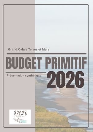 Budget primitif 2026 - Fiche synthétique