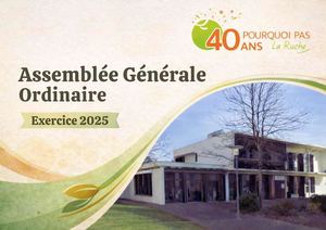 Rapport D'activité