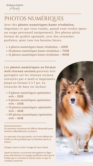 Forfaits Numériques à Rabais 2026