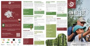 Programme Estival 2026