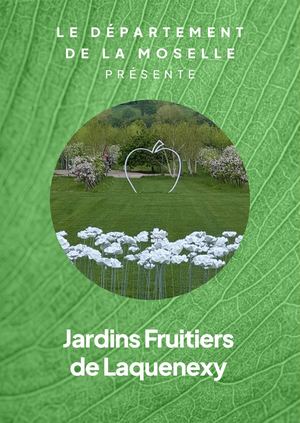 Brochure Jfl