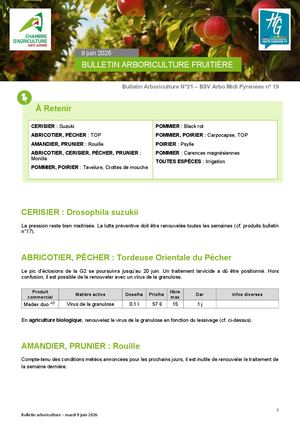 Bulletin Arbo n°21 du 9 Juin 2026