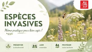 Espèces Invasives Mémo Pour Bien Agir Sans Faq