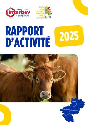 Rapport Activité Web 2025