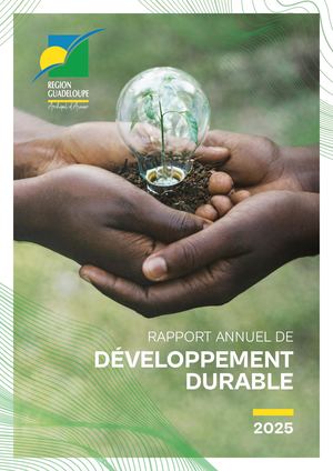 RAPPORT ANNUEL DE DÉVELOPPEMENT DURABLE 2025