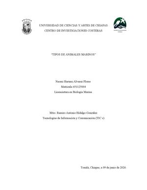 Tipos De Animales Marinos Nhaf
