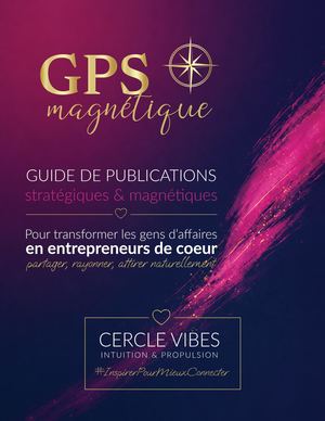 Vibes Gps Magnétique