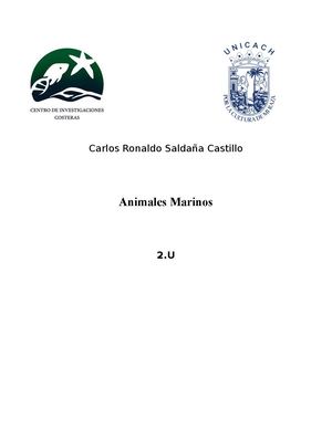 Calameo Crsc 2 U