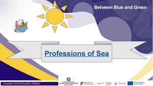 Professions Of Sea Between Blue And Green (1)