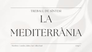 Presentación Proyecto Aesthetic Blanco