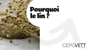 Presentation Lin Synthese 2 Juin