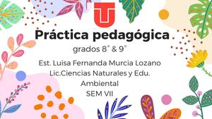 Practica Pedagogica Luisa Murcia L