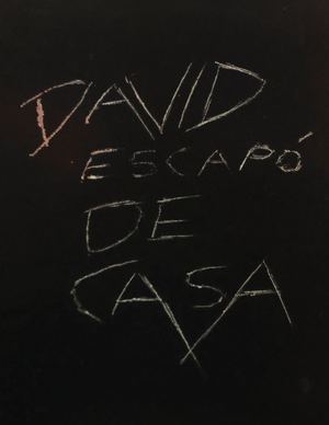 David escapó de casa