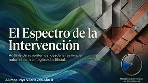 Presentación Sin Título (1)