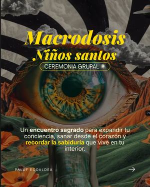 Macro Niños Santos