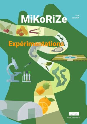 MiKoRiZe numéro 10
