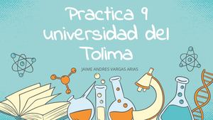 Trabajo Final De Practica 9 Semestre