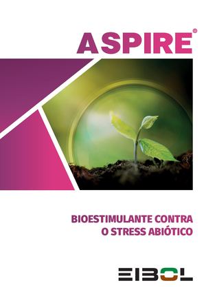 Catálogo Aspire A4 Pt 2509 Sin Recorte
