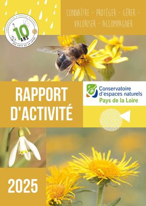 Rapport Activite 2025
