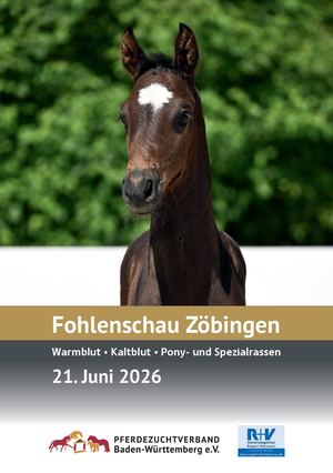 Fohlenschau Zöbingen 2026