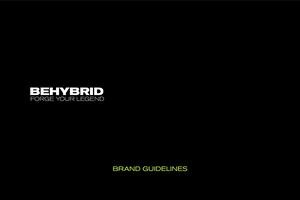 BEHYBRID GUIDELINE