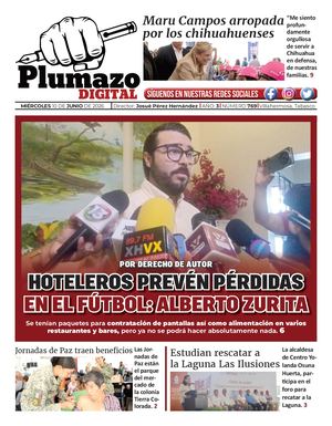 Plumazo Digital 769