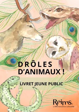 Musée Saint-Remi_Drôles D’animaux !