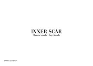 Inner Scar Upcycling