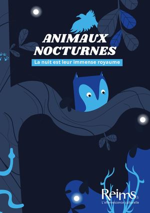 Musée Saint-Remi_Animaux Nocturnes