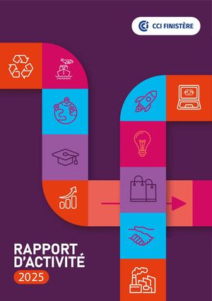 Rapport D'activité Cci 2025 V2