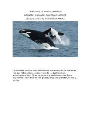 Primer Parcia