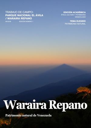 Trabajo De Campo Libro Digital O Blog Hana Rivas