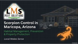 Maricopa Scorpion Homeowner Handbook