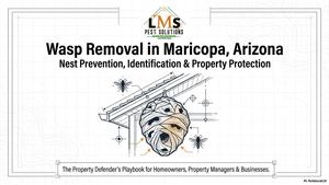 Maricopa Wasp Homeowner Handbook