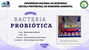 Maqueta De Bacteria Probiótica Yanira Mauricio - UNAM