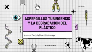 Aspergillus Tubingensis Y La Degradación Del Plástico