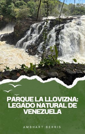 E Book La Llovizna
