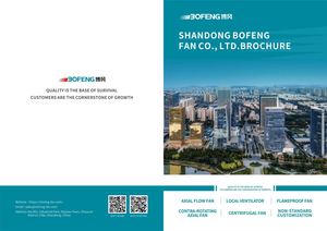 Shandong Bofeng Fan Co , Ltd