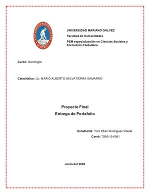 Proyecto Final Sociología