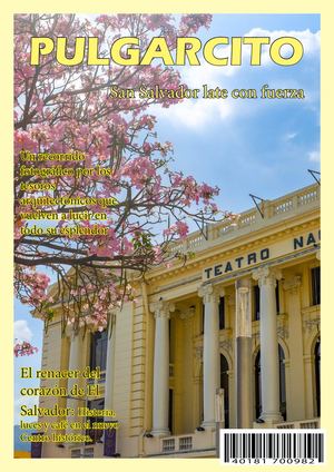 Revista