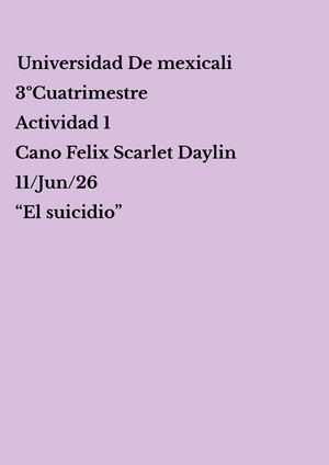 El Suicidio