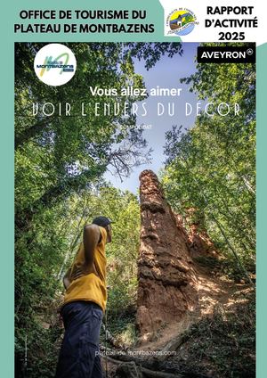 Rapport D'activite 2025 Validé Le 10 06 26