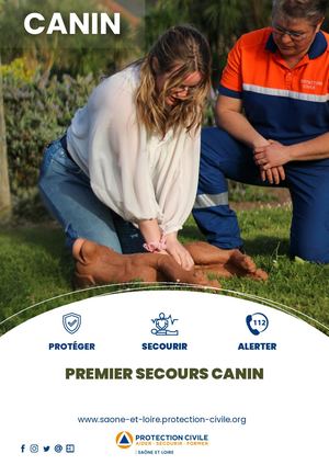 Secours Canin - Formation