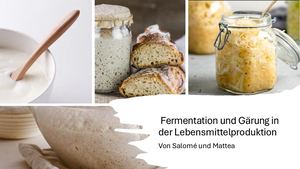 Fermentation