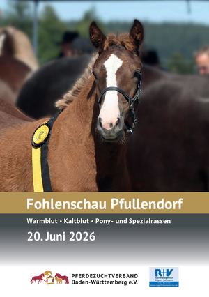 Fohlenschau Pfullendorf 2026