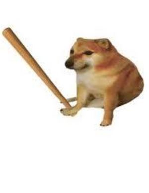 Perro