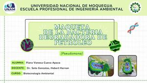 Maqueta De Bacteria Pseudomona